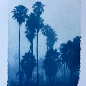 Cyanotype Suite by Krista Machovina 