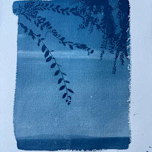 Cyanotype Suite by Krista Machovina 