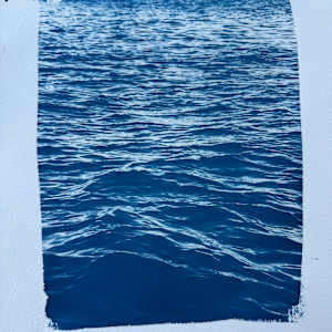 Cyanotype Suite by Krista Machovina 