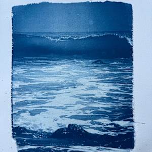 Cyanotype Suite by Krista Machovina 