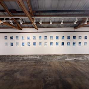 Entanglement Theory Cyanotype Series by Krista Machovina, Image 1.