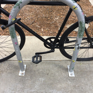 Bicycle Racks by Children of Longmont 