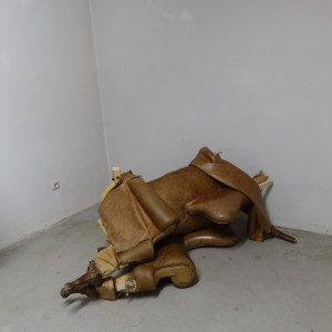 Chair No. 33 by Photographer Sonia E Barrett No credit needed 