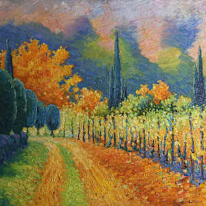 Franschhoek Winelands by Malcolm Dewey