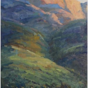 Overberg Morning Light by Malcolm Dewey