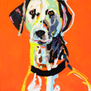 Dalmatian by warbehr, Image 1.