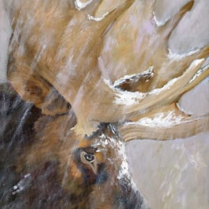Ambassadors of the Wild by Faith Rumm 
