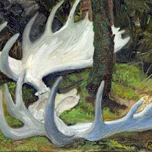 Forest Treasure by Faith Rumm 