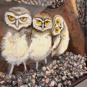 Everybody Needs a Home by Faith Rumm 