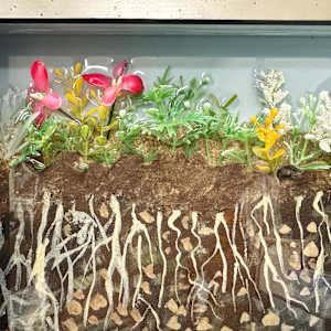 Everybody Needs a Home by Faith Rumm 