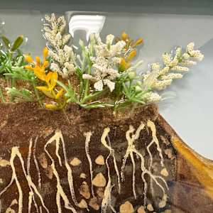 Everybody Needs a Home by Faith Rumm 