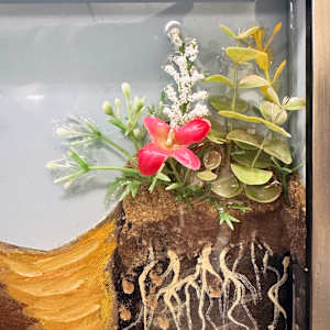 Everybody Needs a Home by Faith Rumm 