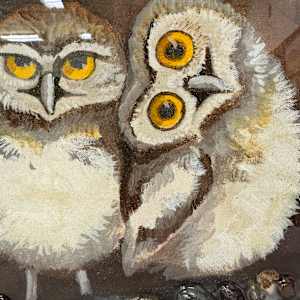 Everybody Needs a Home by Faith Rumm 