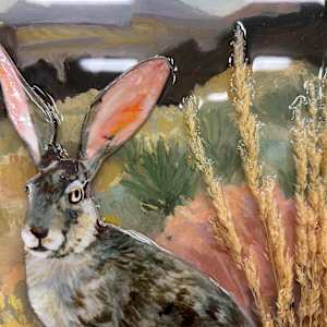 Jackrabbit Road by Faith Rumm 