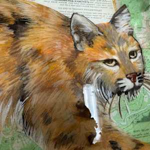 On the Prowl IN PROGRESS by Faith Rumm 