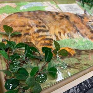 On the Prowl IN PROGRESS by Faith Rumm 