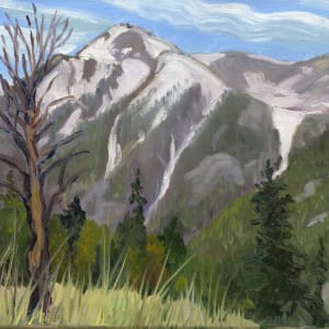 Looking Up West Rosebud Canyon by Faith Rumm 