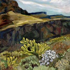 Mojave Cholla by Faith Rumm 