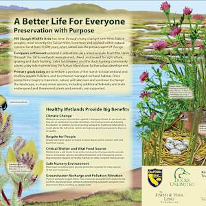 z HILL SLOUGH a Better Life for Everyone by Faith Rumm