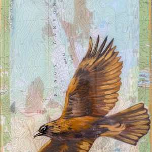 Soaring the Heights by Faith Rumm 