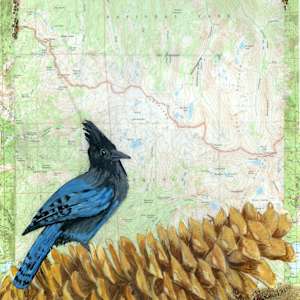 Sugar Cone by Faith Rumm 