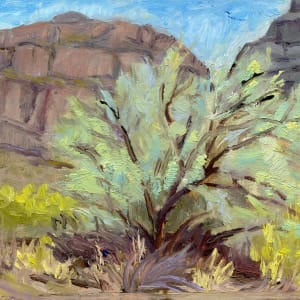 2022 GC Desert Resilience, Tamarisk by Faith Rumm 