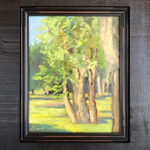 Trees of Sunshine by Faith Rumm 