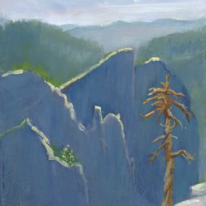 Yosemite Cliffs Along the Pohono Trail by Faith Rumm