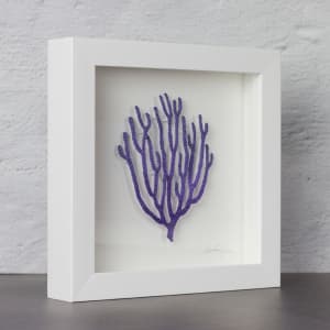 #10 Purple Candelabra Coral 