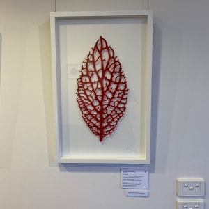 Nerve Plant (Fittonia albivenis) by Meredith Woolnough  Image: Nerve Plant - framed image