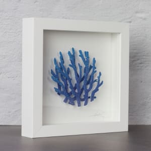 #36 Blue Coral Double Layer 