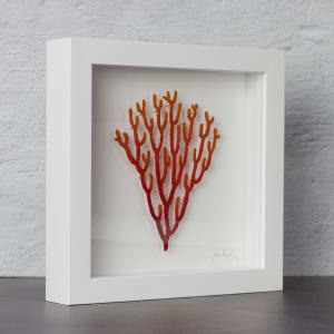 #50 Fading Red Coral Branch 