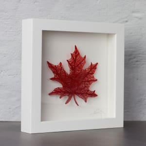 #79 Maple Leaf 