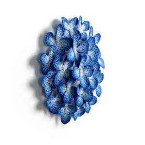 Blue Hydrangea by Meredith Woolnough 