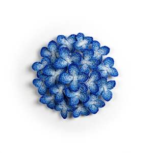 Blue Hydrangea by Meredith Woolnough