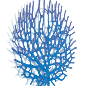 Coral Fan by Meredith Woolnough 