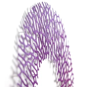 Purple Coral Fan Atoll by Meredith Woolnough 