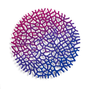 Gorgonian Structure Study by Meredith Woolnough