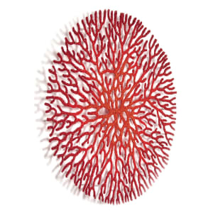 Coral Network 1 by Meredith Woolnough 