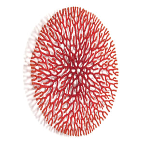 Coral Network 2 by Meredith Woolnough 
