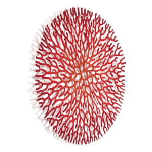 Coral Network 3 by Meredith Woolnough 