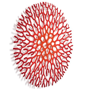 Coral Network 4 by Meredith Woolnough 