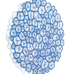 Corallite Study #2 by Meredith Woolnough 