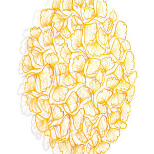 Ginkgo Leaf Mandala by Meredith Woolnough 