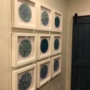 Coral Grid - Large Circles (individually framed) 