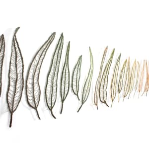 Leaf Line by Meredith Woolnough 