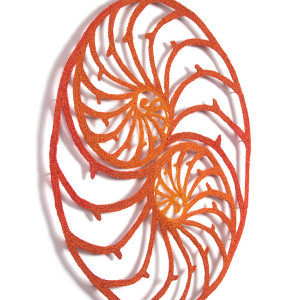 Nautilus Unity by Meredith Woolnough 