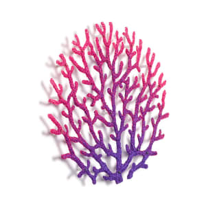 #69 Pink and Purple Coral Fan 