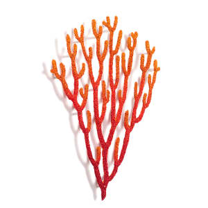 #50 Fading Red Coral Branch 