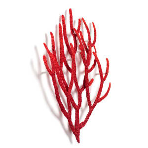 #31 Red Coral Double Layer 